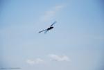 dsc_7041_t1.jpg